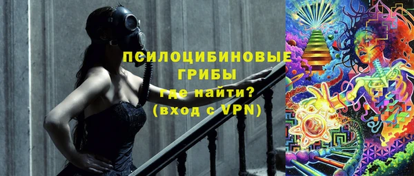 эйфоретик Алзамай