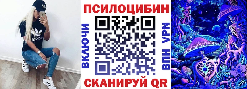 блэк спрут онион Аша Галлюциногенные грибы Psilocybine cubensis