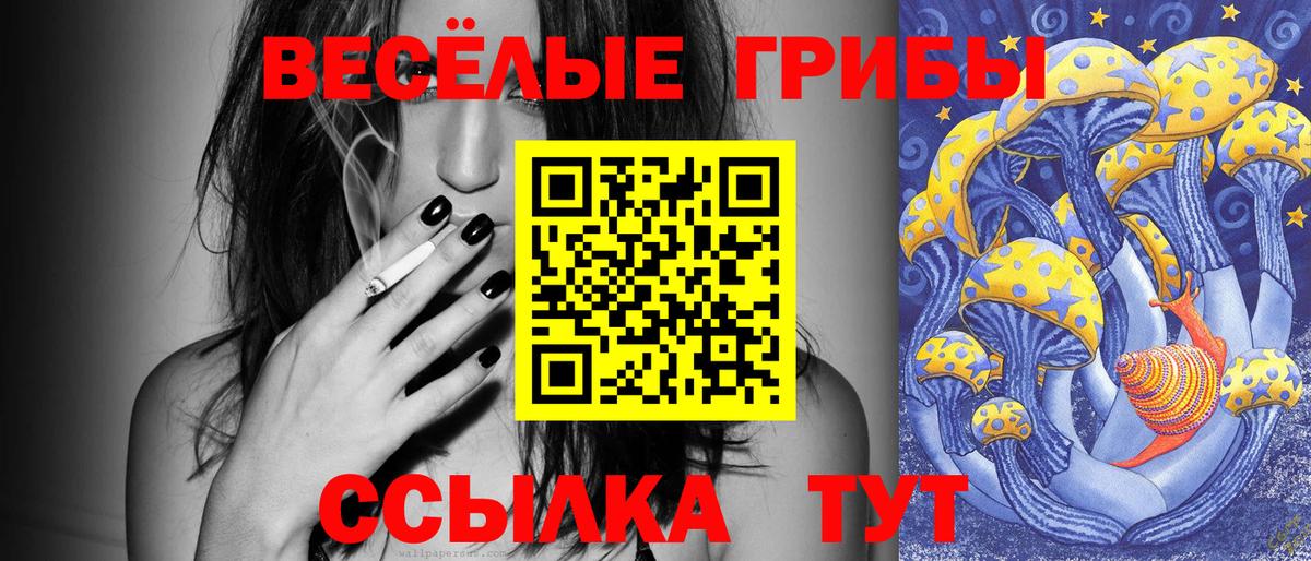Псилоцибиновые грибы мицелий Аша